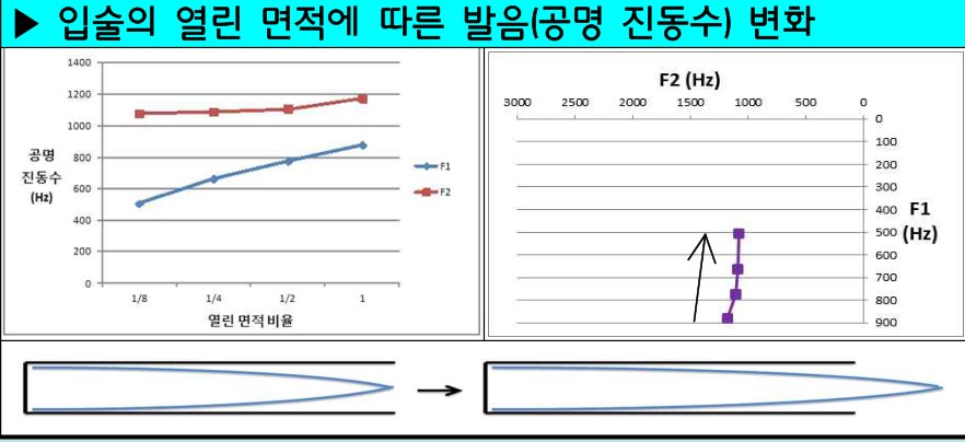 입술의 열린 면적에 따른 공명 진동수 변화 그래프: 열린 면적이 작아질수록 제1 공명 진동수가 낮아진다