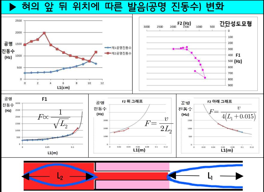 혀의 앞뒤 위치에 따른 공명 진동수 변화 그래프와, 좁은 곳 뒤쪽 공간(L2)과 앞쪽 공간(L1)을 나타낸 그림