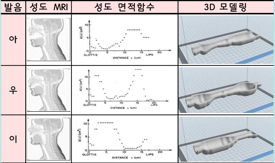 아·우·이를 발음할 때의 성도 MRI, 성도 면적 함수 그래프, 3D 모델링